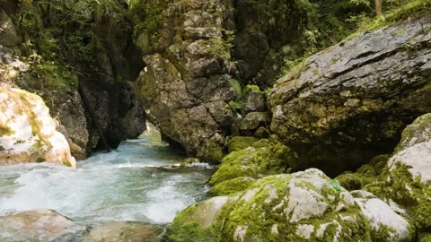 Emerald River Floating Between Squeezed River Gorge Surrounded With Green Nature Stock Footage 168497716
