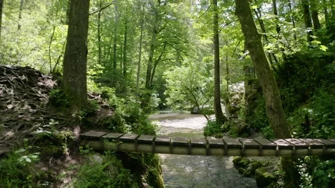 Emerald River Floating Under Wooden Bridge That is Connected Between Two Islands Stock Footage 168497857
