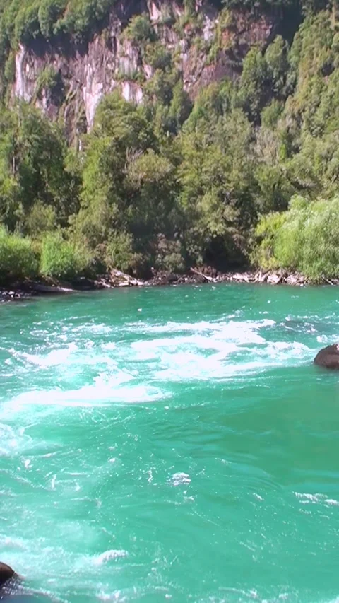Emerald River Runs Wild in Los Alerces National Park Stock Footage 327098335