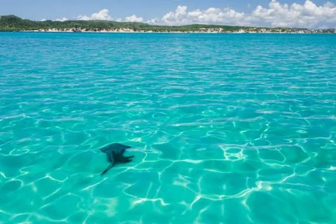 The emerald sea Foto stock