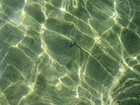 Emerald sea Stock Photos