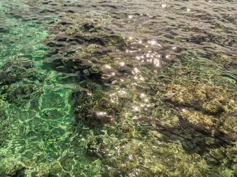 Emerald seabed background Stock Photos