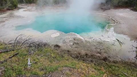 Emerald Spring, a hot spring. Norris Geyser Basin. Yellowstone National Park Stock Footage 318470426