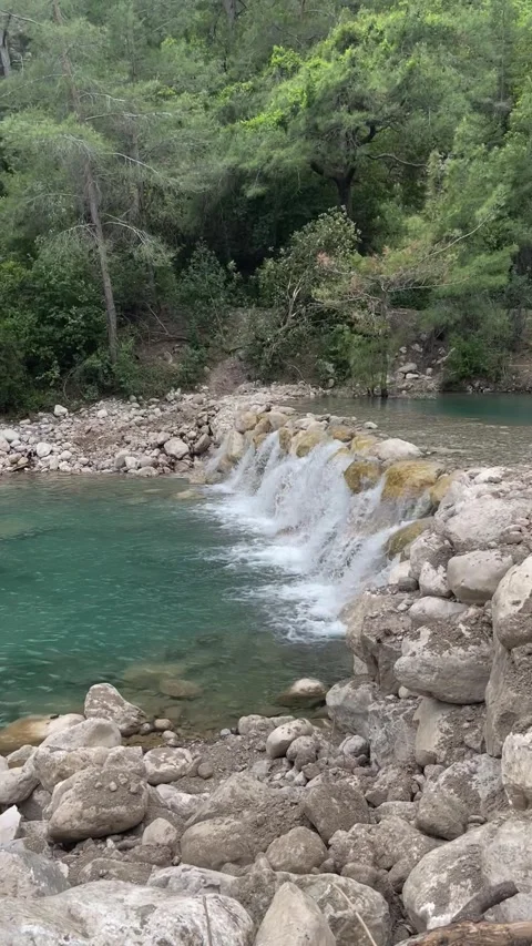 Emerald Stream Flowing through Forest Stones Stock Footage 304883567