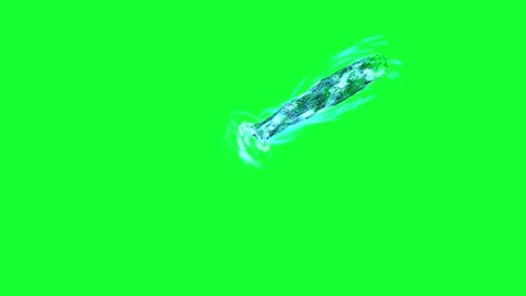 Emerald Vortex Green Swirl Effect Smoke Spiral Green Screen Effect Stock Footage 264633397