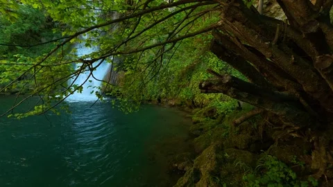 Emerald water flows gently under leafy canopy. Veliki Buk, Serbia. Vídeo Stock 336888280