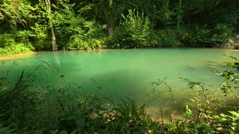 Emerald water glimmers softly in sunlit forest. Bigar Waterfall, Serbia 動画素材 346250220