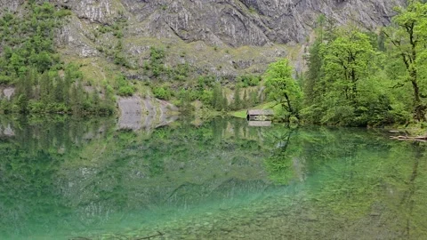 Emerald Waters and Lush Greenery – Königssee in the Bavarian Alps Stock Footage 309417802