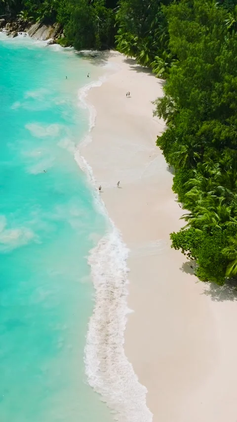 Emerald waters and soft white sand beach with lush greenery. Seychelles, Mahe. Stock Footage 303529899