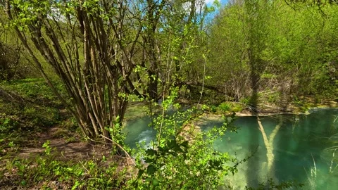 Emerald waters flow gently beneath trees. Balkan, Eastern Europe, POV Video stock 333588935