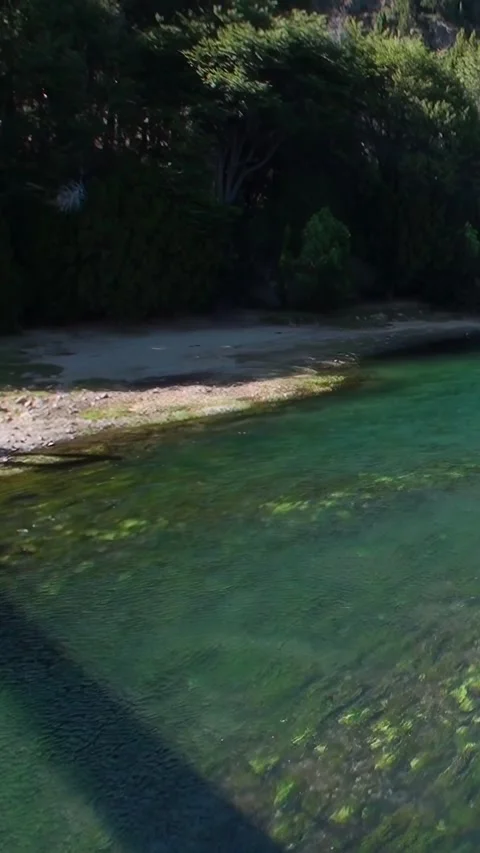Emerald Waters Flowing Through Los Alerces National Park Video stock 327098393