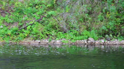 Emerald waters of the river Stock Footage 48815672