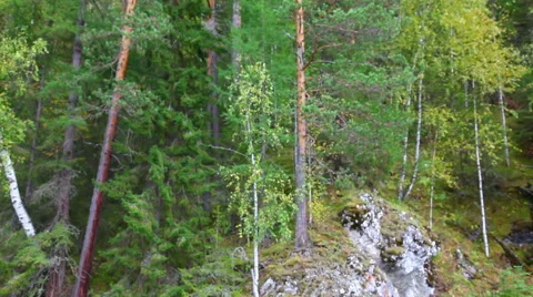 Emerald waters of Russian rivers Stock Footage 48815888