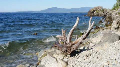 Emerald waves roll onto the rocky beach of Lake Baikal. Stock Footage 290119616