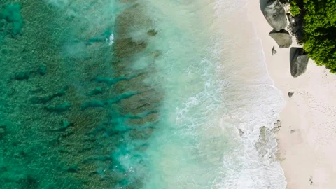 Emerald waves washing over a sandy beach with green foliage. Seychelles, Mahe. Stock Footage 312430221