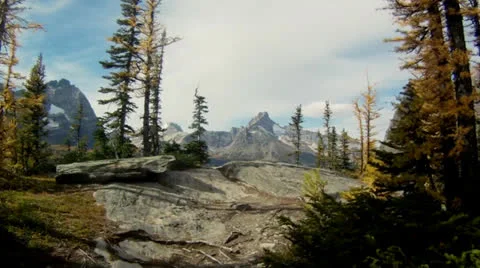 Emerge from forest to cliffs in mountains Stock Footage 22478487