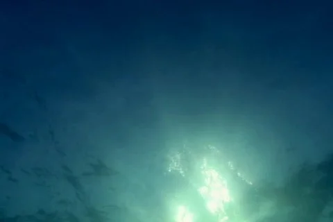 Emerge Underwater Stock Footage 344463