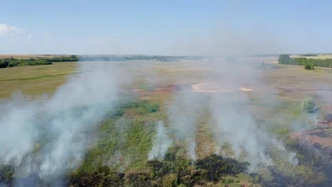 The emergence and development of peat fire in the swamp in the region. The Stock Footage 158811234