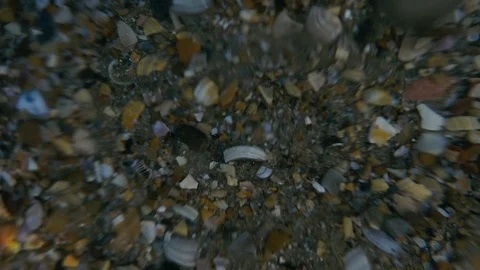 Emergence of a chamber from water slow motion Stock Footage 80248691