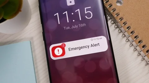 Emergency Alert Notification on a Smartphone Screen 스톡 동영상 122014479