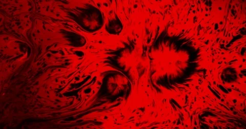 Emergency Blood Analysis 4K Video stock 72093640