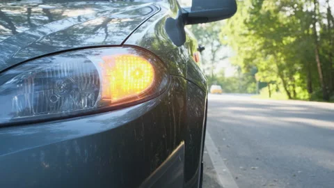 Emergency car warning light on the in the forest. Video stock 137604394