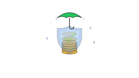 Emergency Fund Shield Stack Stock Footage 339260065