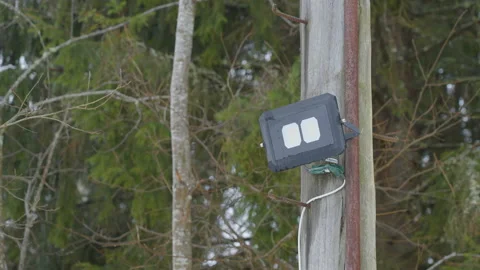 An emergency lamp on the side of the foret in Estonia Stock Footage 150057578