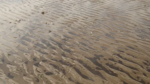 Emergency life-saving ring lying on wet beach with the tide out. Stock Footage 71170112