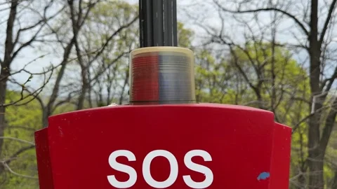 Emergency panic button with flashing beacon in public park for police call Stock Footage 333457245