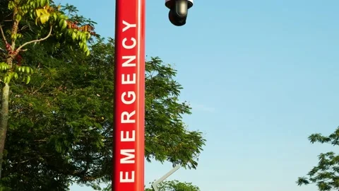 Emergency pole with CCTV is located in the public garden. Видео 194466064
