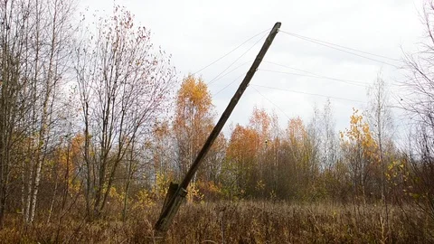 Emergency pole in the forest Stock Footage 118309879