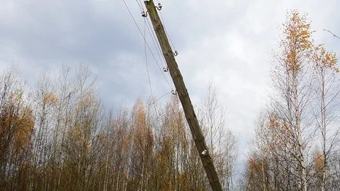 Emergency pole in the forest, medium shot Stock Footage 118309925