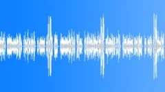 Emergency Radio Announcement Biological Sound Effect