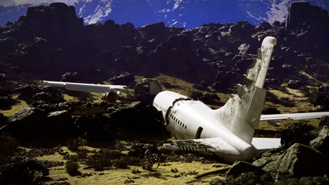 Emergency services respond swiftly to aircraft accident scene Video stock 341826053