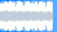 Emergency Warning Alarm 27Sound Effect