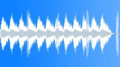 Emergency Warning Siren, Horn, Alarm 2 Sound Effect