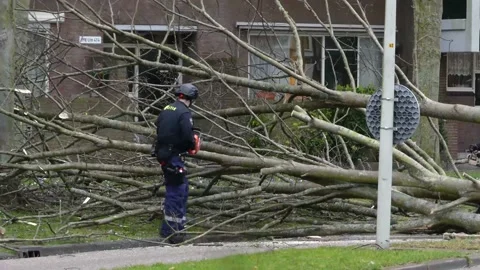 Emergency workers removing fallen tree after storm Eunice 動画素材 170647539