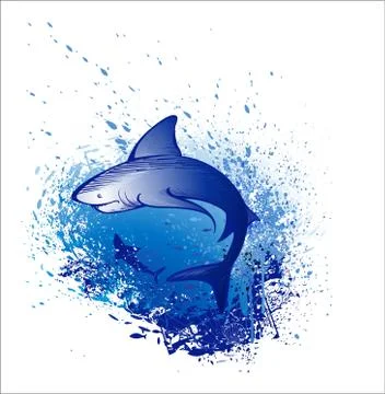 Emerges White Shark Stock Illustration