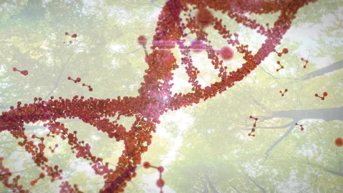 Emerging 3D red-orange double helix rotating over sunlit foliage zooming in Stock Footage 313639310
