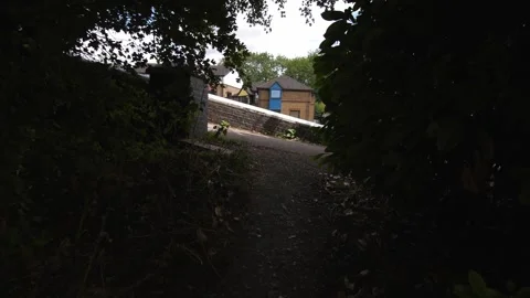 Emerging from the dark woods onto the light, road. Stock Footage 300123933