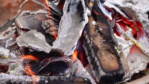Emerging Daytime Fire Amongst Woods in Delhi, India Stock Footage 260400681