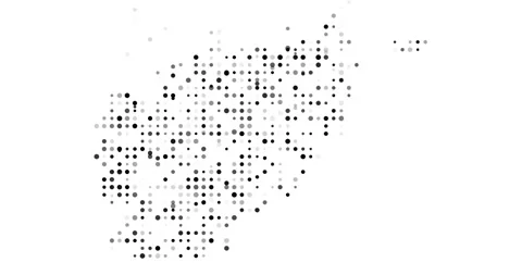 Emerging Dot Pattern as Vibrant Afghanistan Country Silhouette Stock Footage 315756411