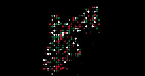 Emerging Dot Pattern as Vibrant Jordan Country Silhouette Stock Footage 316403097