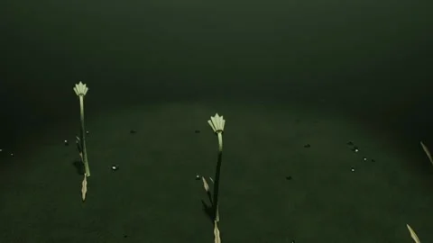 Emerging pale shuttle buds sprouting and lifting into stems in green chamber Vídeo Stock 337886090