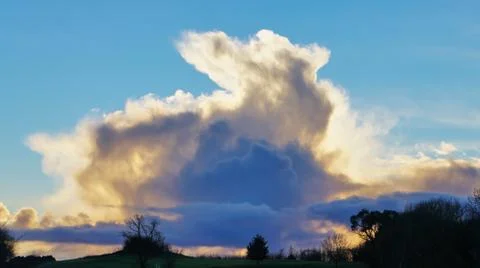 An emerging rabbit cloud.. 스톡 사진