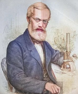 Emil Adolf Rossmaessler also Emil Adolph Rossmaessler 1806 1867 a German Stock Illustration