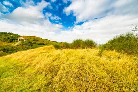 Emilia Romagna, Italy, fields on hills Emilia Romagna, Italy, fields on hi... Stock Photos