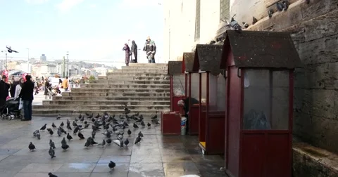 Eminonu Square in Istanbul 스톡 동영상 49101415