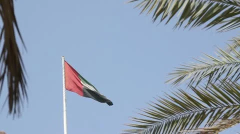 Emirates Flag Video stock 12561218